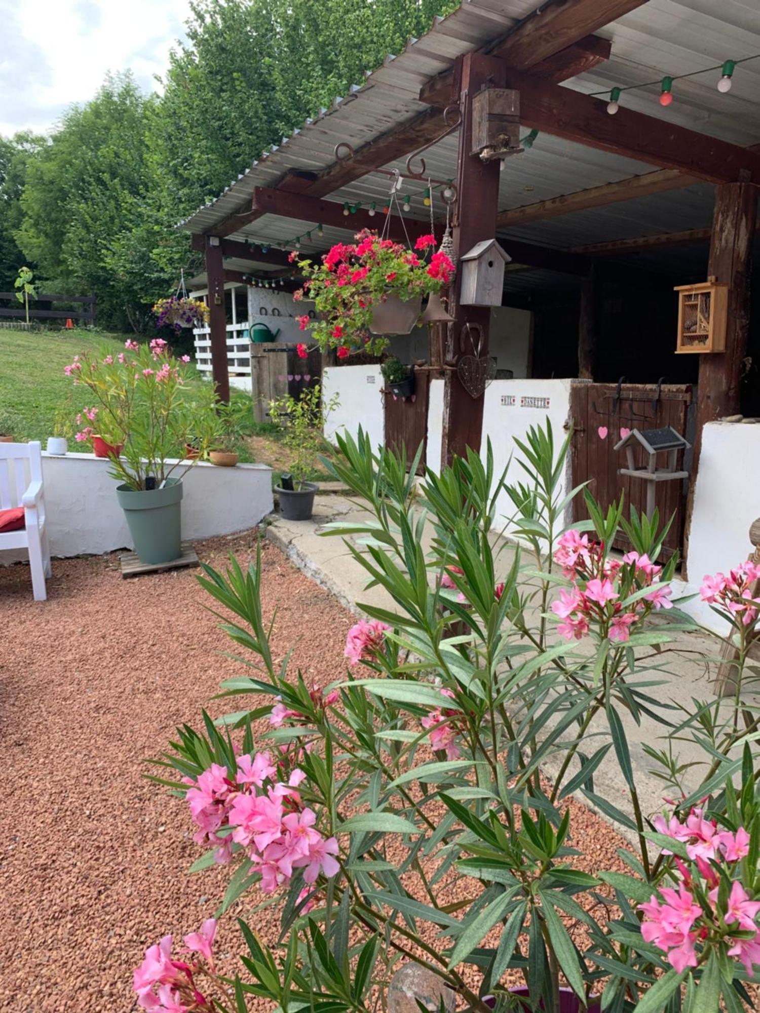 My Little Sweet Home Colombe  外观 照片